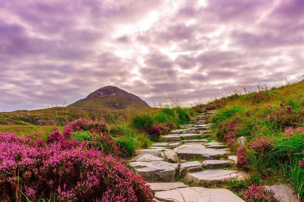 ireland, national park, connemara